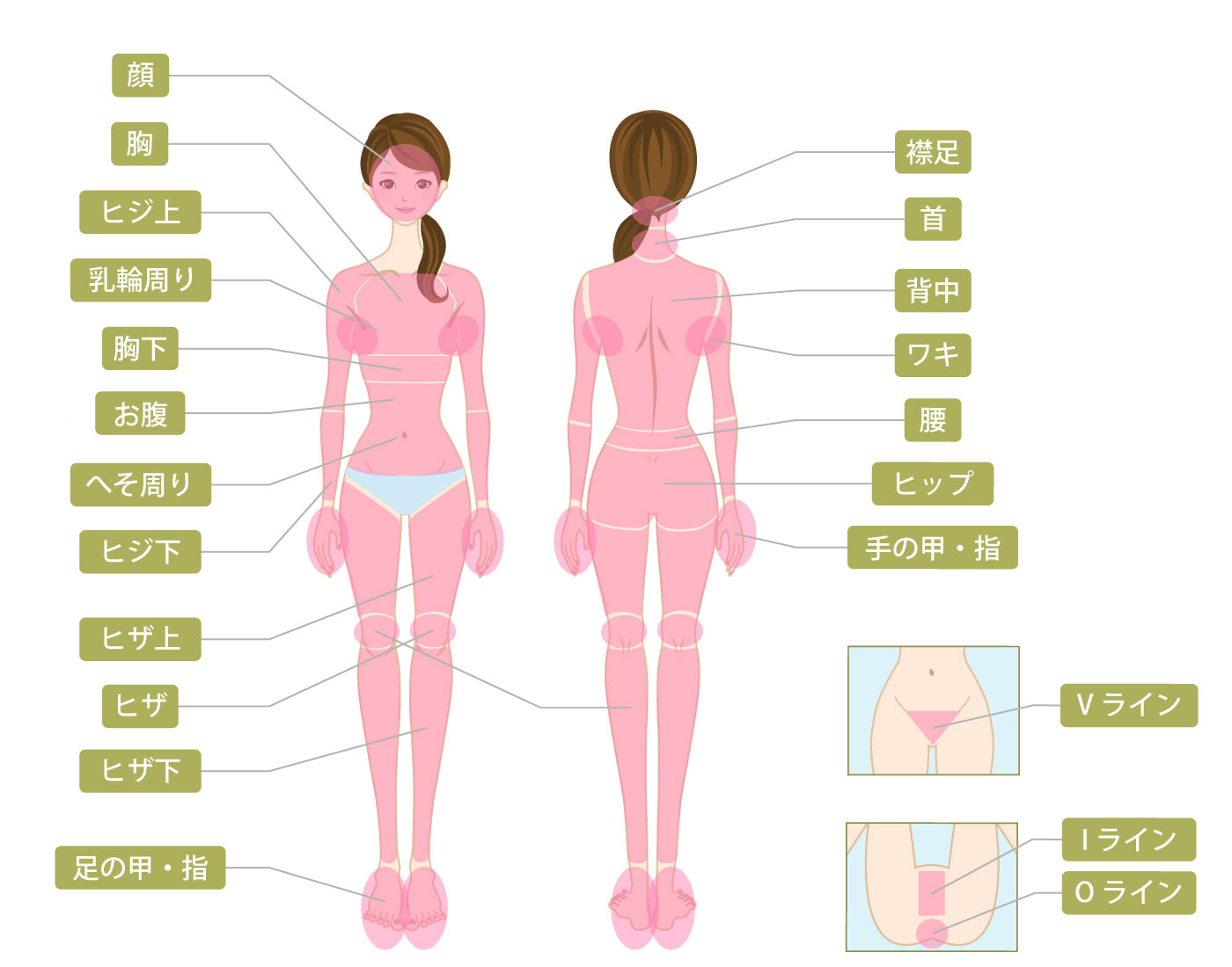 全身脱毛・VIO脱毛の21パーツ
